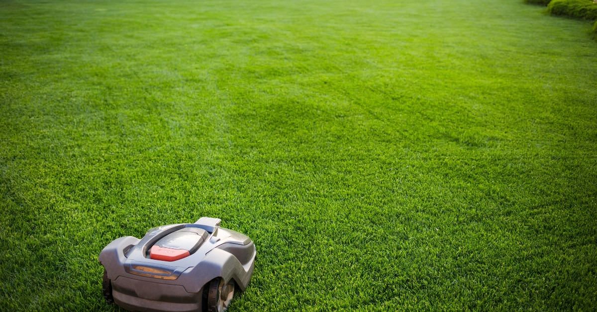 Automated lawnmowers and vacuum cleaners